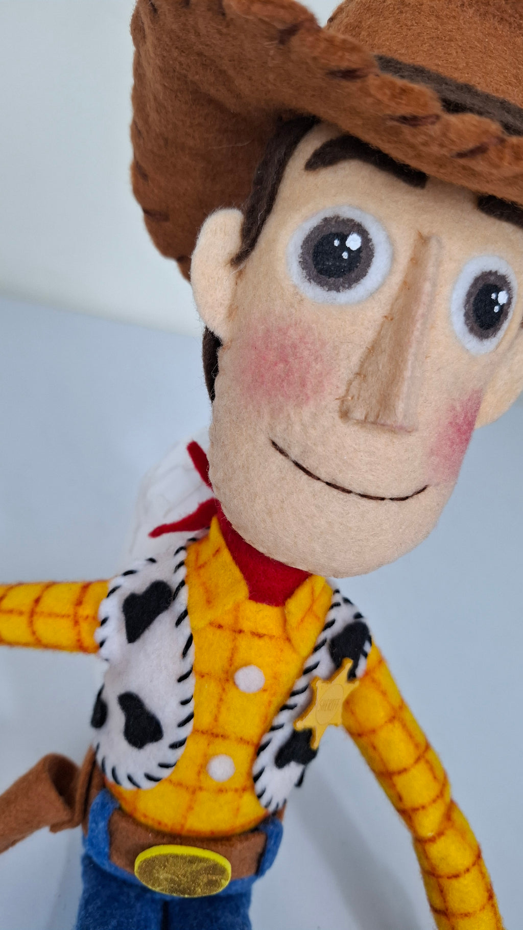Woody (Versión Pamelency) – Paño Lency/Fieltro | Molde Digital